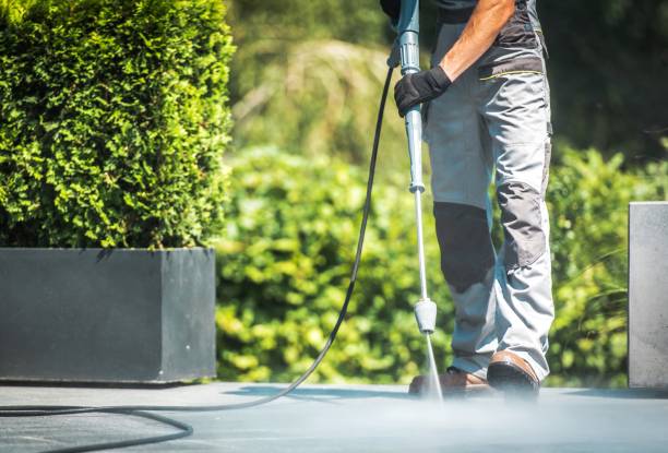 Animal Enclosure Cleaning in Stanley, WI